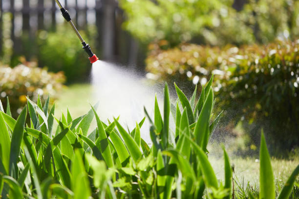 24/7 Emergency Mosquito Control experts in Gibbstown, NJ